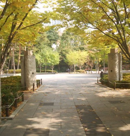 2・28記念中央公園の風景